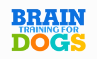 Brain Training for Dogs - Unique Dog Training Cour