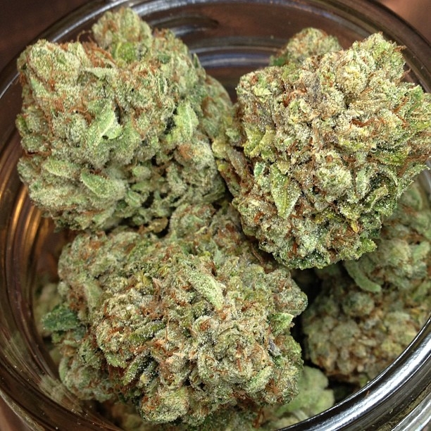 Medical Marijuana for sale - Purple Kush, Hashplan