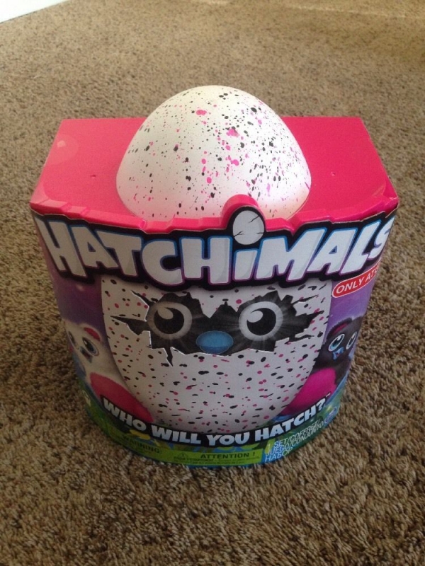 Hatchimals Hatching Interactive Bearakeet Pink 