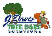 Tree Trimming Colleyville - Improve the health of 