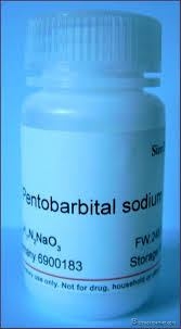 Nembutal Pentobarbital Sodium  for sale 